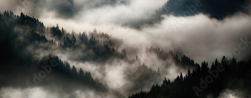 Nebelschwaden über stillen Bergwäldern