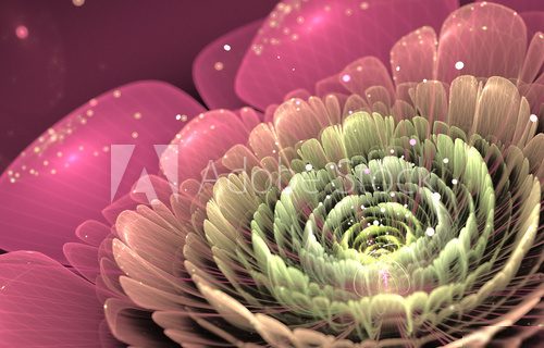 pink and green fractal flower