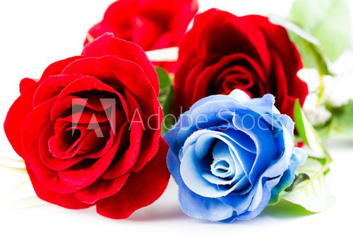 Red and blue roses 