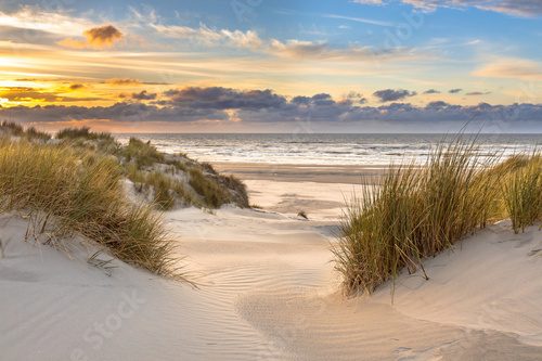 Sanfte Dünenlandschaft im Abendlicht