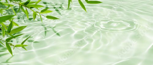 Sanfte Spiegelungen und grüne Akzente