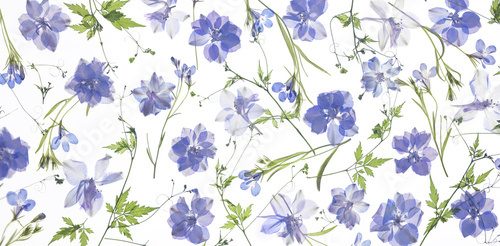 Sanftes Blau trifft zarte Natur