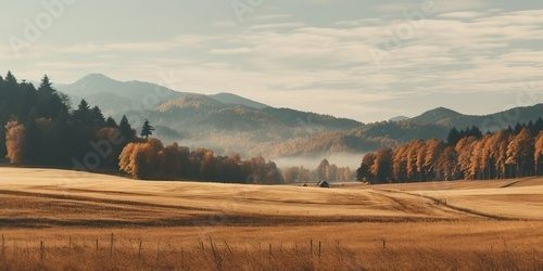Sanftes Herbstlicht über Bergwäldern