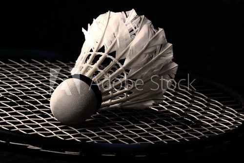 Shuttlecock on badminton racket 