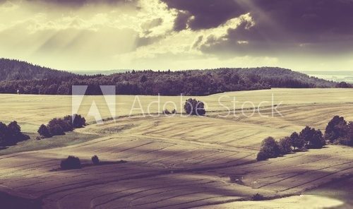 Stimmungsvolle Natur in sanften Sepiatönen