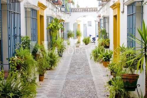 street of Cordoba, Andalusia, Spain 
