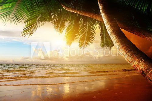 sunrise on Caribbean beach 