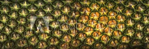 Surface of pineapple close up 