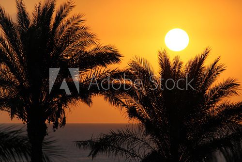 Tropische Abendruhe im Sonnenlicht