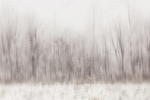Vernebelte Winterlandschaft in kühlen Tönen
