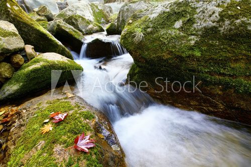 Waterfall and stream 