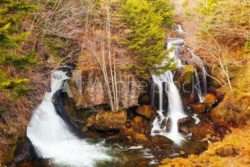 Waterfall in forest 