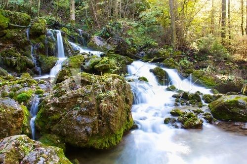 Waterfall in forrest with moss on rocks 