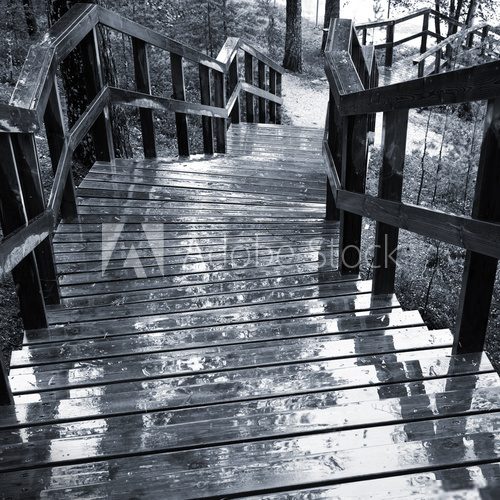 Wet wooden stairway in the forest 