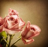 Beautiful Pink Roses Vintage Styled Sepia toned