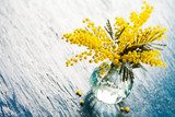 Bouquet of mimosa (silver wattle) in vase on wooden background 