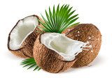 Coconuts with milk splash and leaf on white background