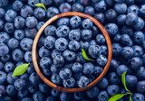 Frische Blaubeerpower für Ihre Küche