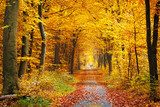 Goldene Herbstallee voller Leben