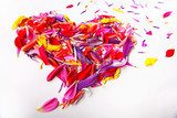 heart of the concept of flower petals on a white background 