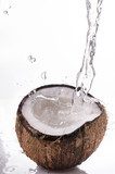 noce di cocco splash