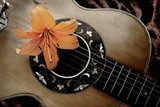 Nostalgia with vintage guitar and lily