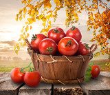 Ripe tomatoes 