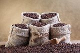 Roasted coffee beans in small burlap bags 