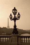 Vintage lamppost on the bridge of Alexandre III (Paris, France)