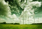 Wind turbines, ecology