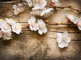 Wood background with spring blossom