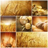 Ziarna zbóż – sielski collage

