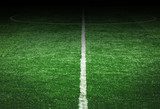 Abendstimmung auf grünem Spielfeld