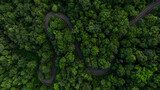 Aerial view asphalt road on green forest, Curve asphalt road on mountain green forest, Countryside road passing green forrest and mountain.