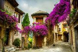 art beautiful old town of Provence 