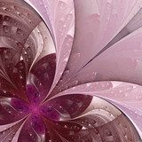 Beautiful fractal flower in vinous and purple.