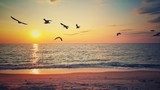 Beautiful sunrise over the beach and flying birds