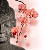 Bouddha et orchidÃ©e rouge 