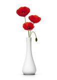 Bouquet de 3 coquelicots dans un vase. red Poppies