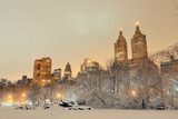 Central Park winter 