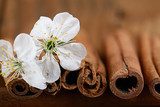 cherry flowers and twigs on a wooden background 