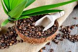 coffe beans in coconut