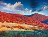 Colorful autumn landscape in the mountain village 