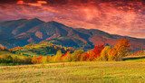 Colorful autumn sunrise in the mountains. 