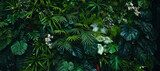 Creative nature green background, tropical leaf banner or floral jungle pattern concept.