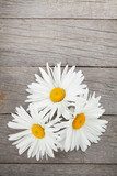 Daisy camomile flowers on wooden table 