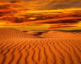 Desert of North Africa, sandy barkhans 
