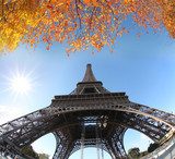 Eiffel Tower with autumn leaves in Paris, France 