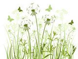 floral background with  grass and dandelions 