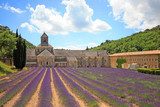 France - Abbaye de Senanque 